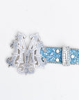 Rhinestone Belt (Powder)